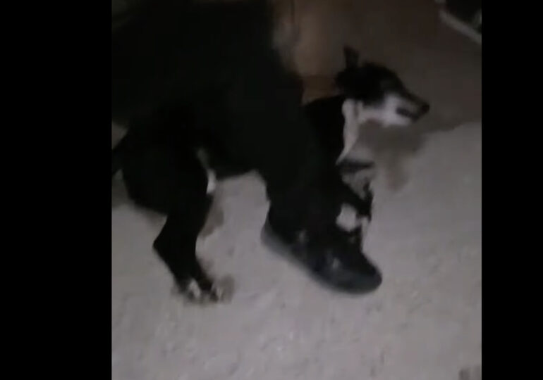 Δήμαρχος Καρπάθου: "Καμία διαρροή ρεύματος δεν διαπιστώθηκε"